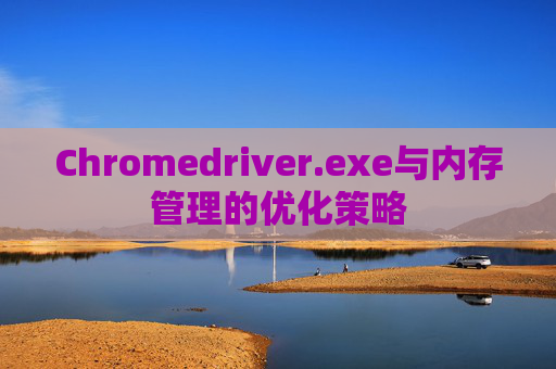 Chromedriver.exe与内存管理的优化策略 Chromedriver.exe与内存管理的优化策略